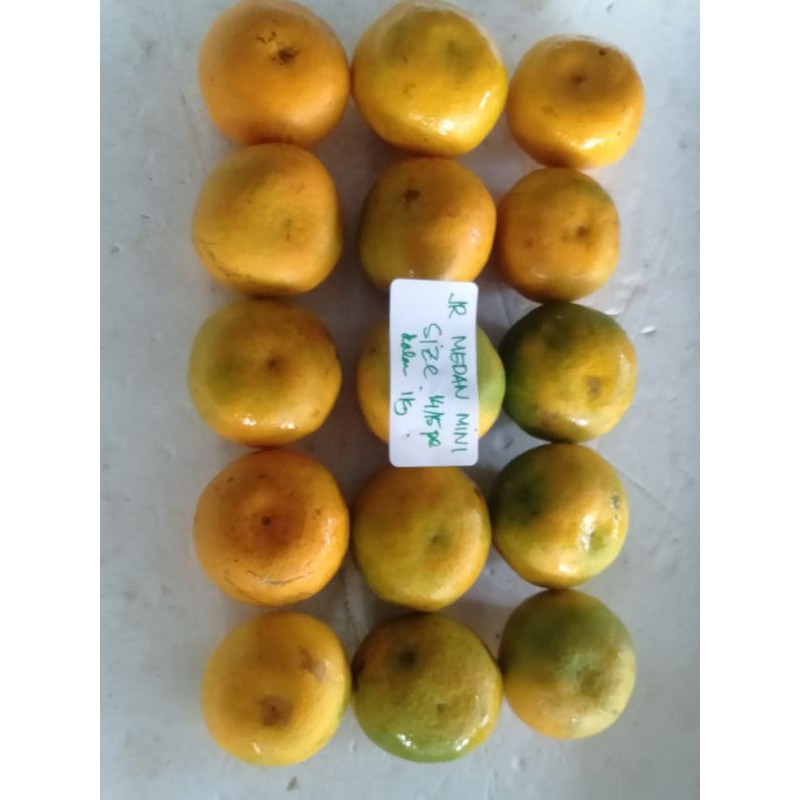 

Jeruk Medan Mini size 14 sd 16 pc dalam 1 kg
