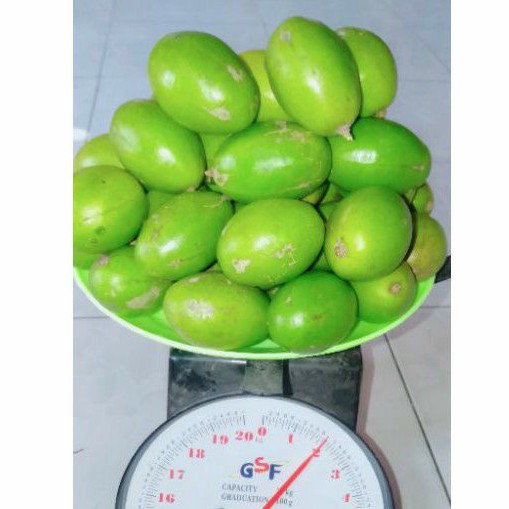 

buah kedondong 2 kg fresh