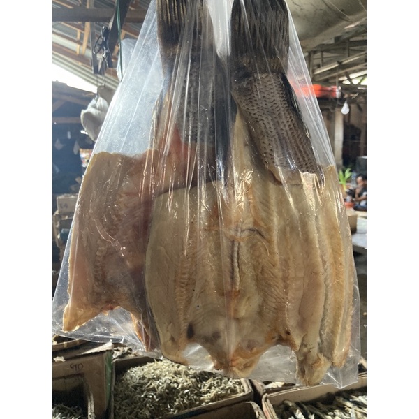 

promo!! ikan gabus super2kg