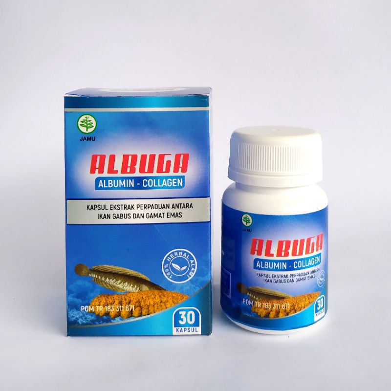 ALBUGA - KAPSUL EKSTRAK GAMAT EMAS DAN IKAN GABUS BPOM | EKSTRAK ALBUMIN & GAMAT