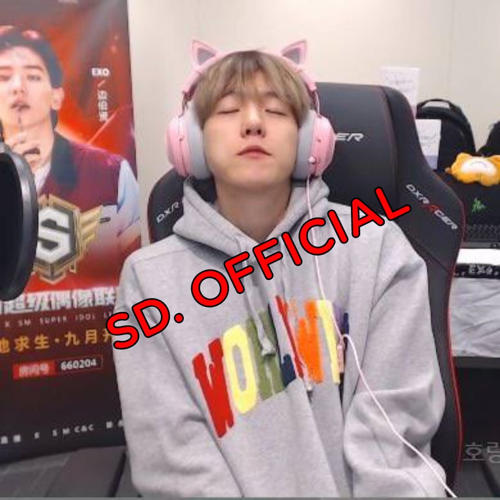 Jaket Hoodie Jumper EXO baekhyun WORLDWIDE DTF print