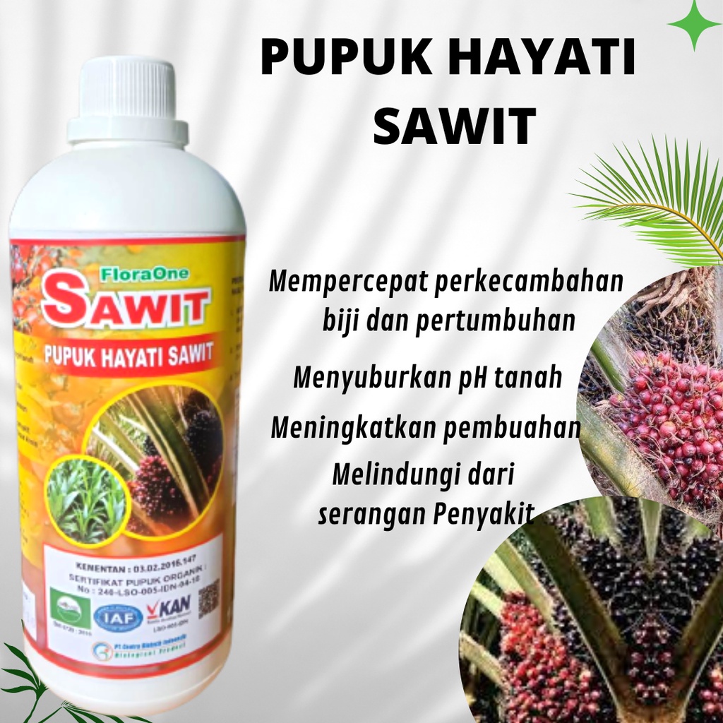 pupuk sawit agar berbuah lebat, pupuk kelapa sawit, nutrisi kelapa sawit yang paling bagus