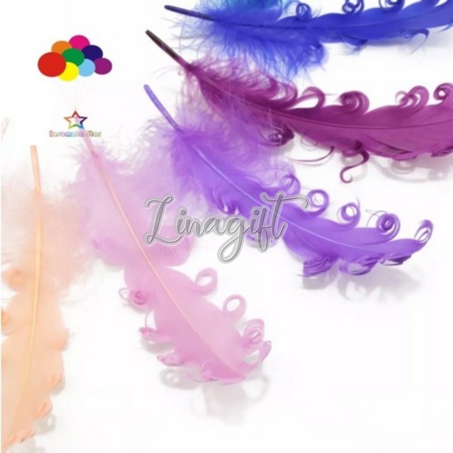 BULU AYAM CURLY PENDEK - COLOR CURLY SMALL FEATHER - HIASAN CRAFT PRAKARYA