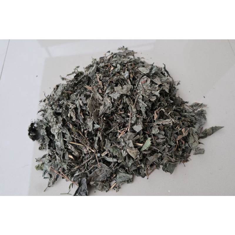 

Grosir daun keji beling kering ori 5kg murah