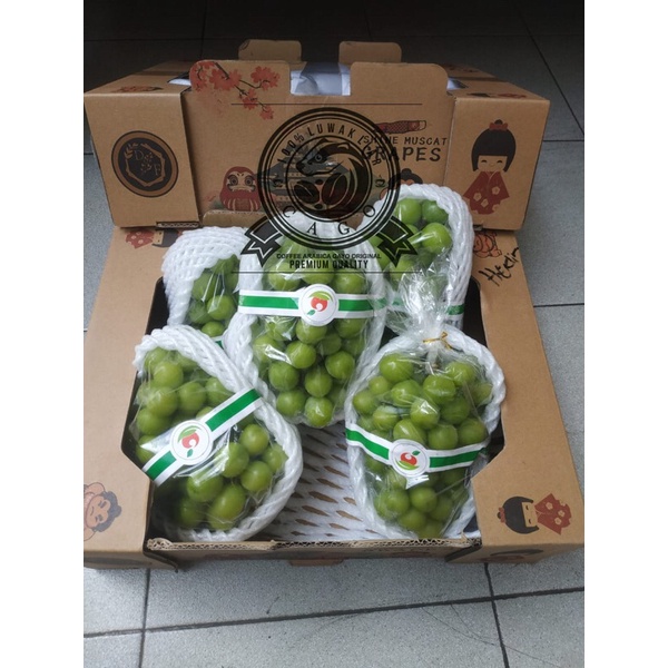 Anggur Hijau Shine Muscat 1 Dus (4.5 KG) Fresh Import class #1