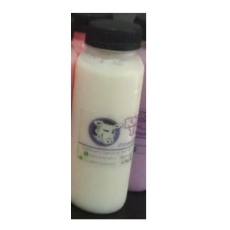 Bibit Yoghurt plain yoghurt