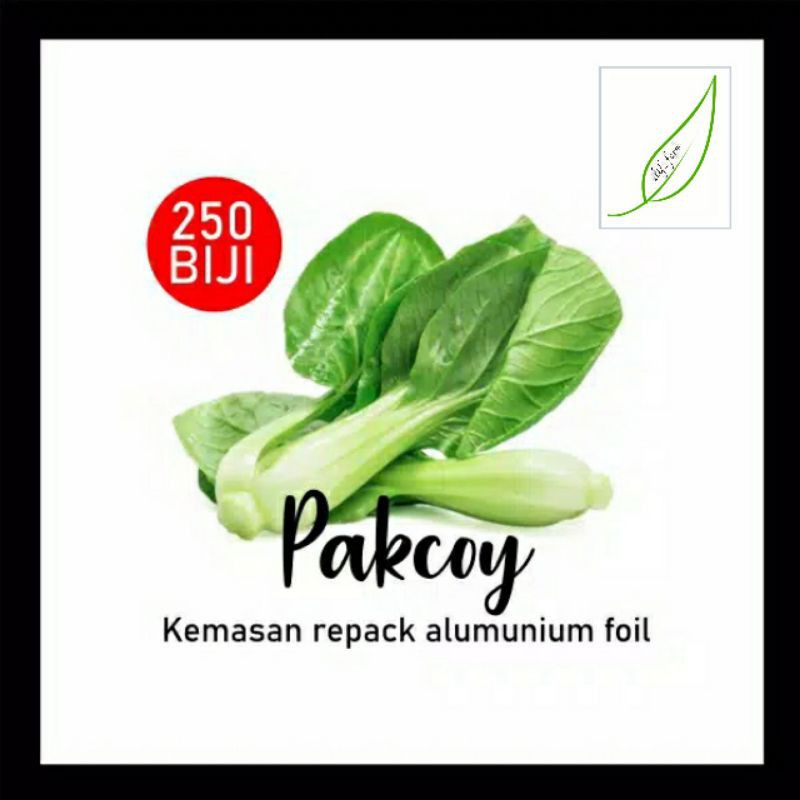 bibit pakcoy | benih pakcoy | sayuran pakcoy | hydroponik | belajar menanam | bibit eceran | murah