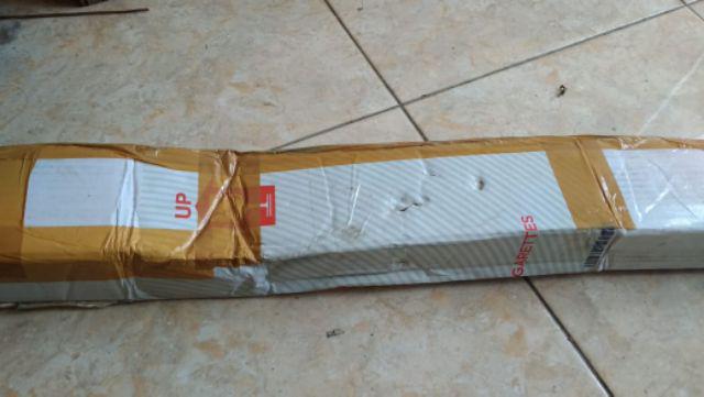 Bibit Tanaman Hias Pucuk Merah