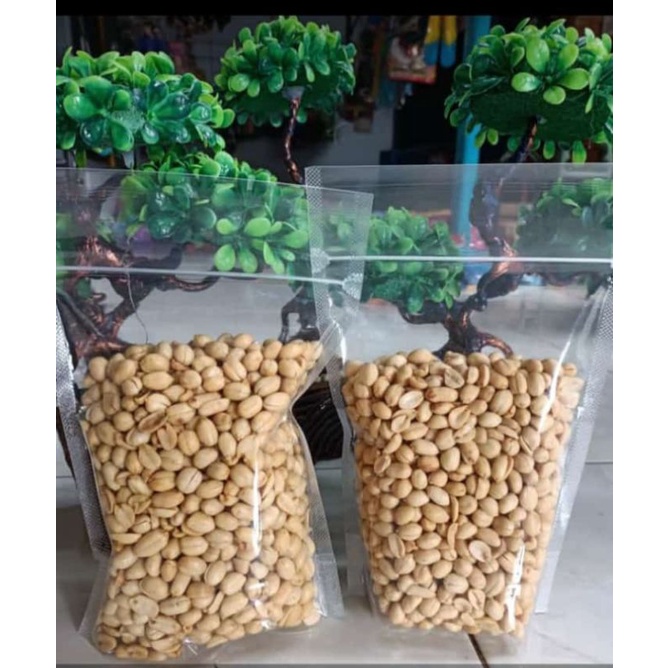 

KacangBawang