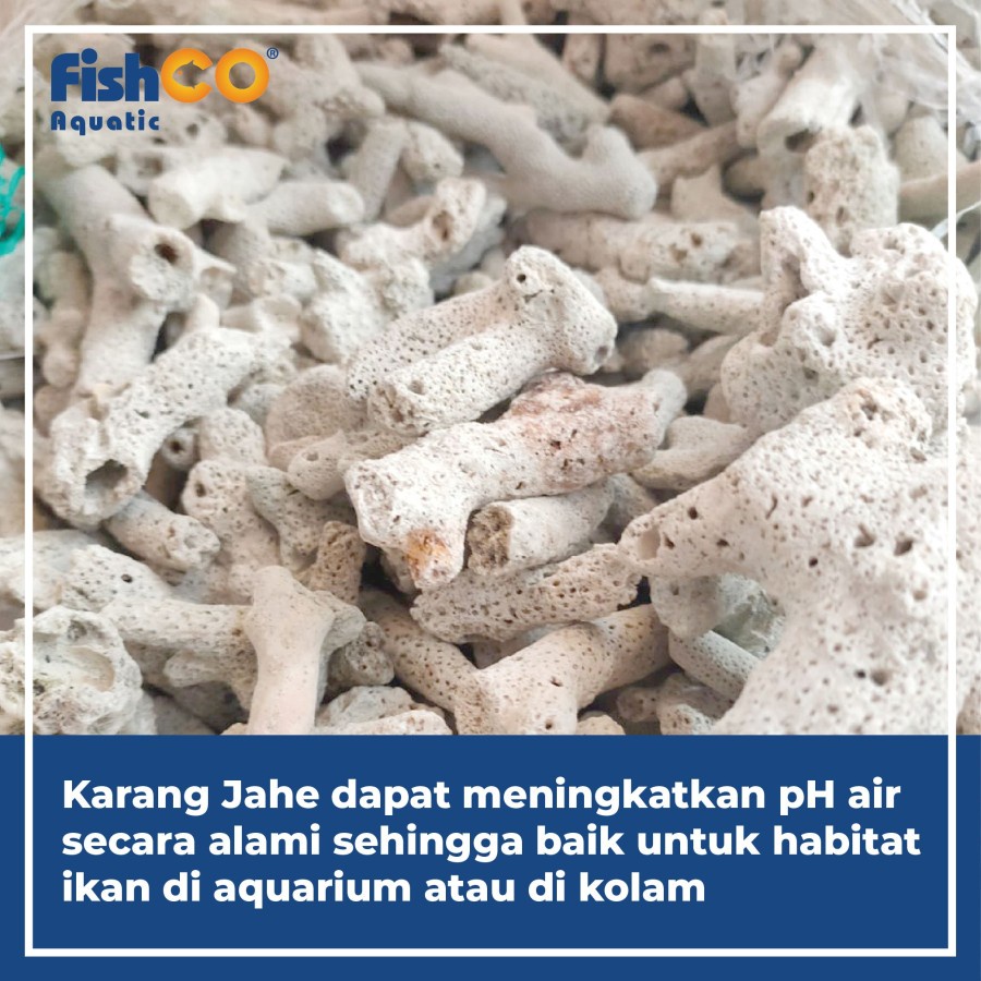 Jual Media Filter Batu Karang Jahe Karungan Premium Aquarium 5kg ...