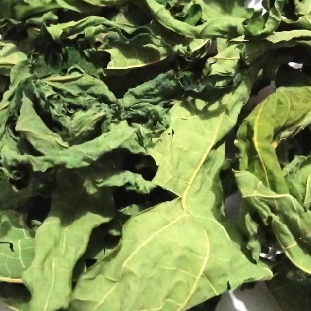 

Daun pepaya hijau 500 gram