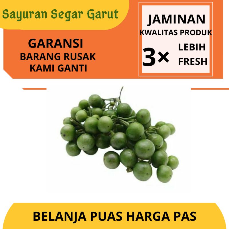 

Sayur Lenca Segar 500gr by Sayuran Segar Garut