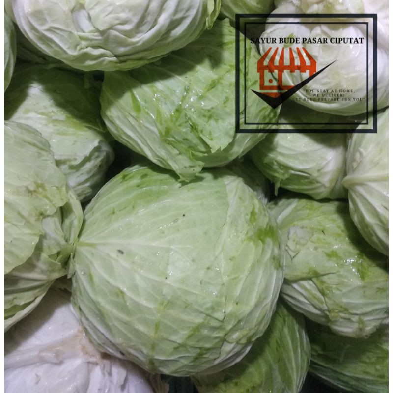 

Kol Kubis Putih 500 gram