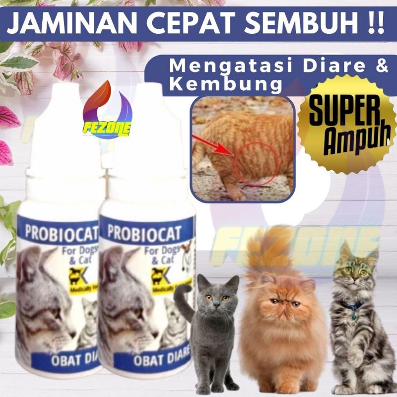 Obat muntah, diare, mencret kucing/anjing 10ml probiocat