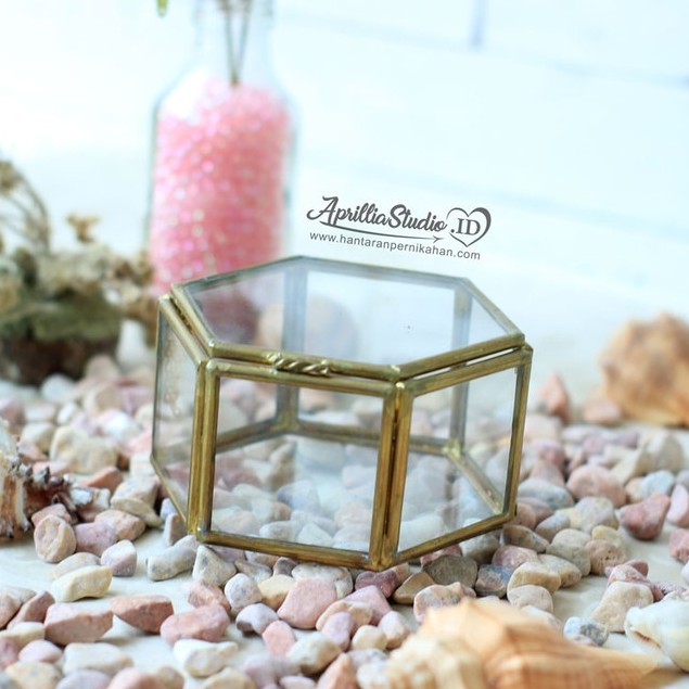 Kotak Perhiasan | Ringbox Terarium Mini Box S6 Uk 9x10x6 cm