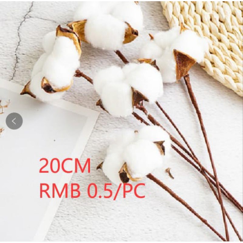 WMS Bunga Kapas Kering / Dried Cotton Hiasan Dekorasi Hiasan Vas Hiasan Rustic