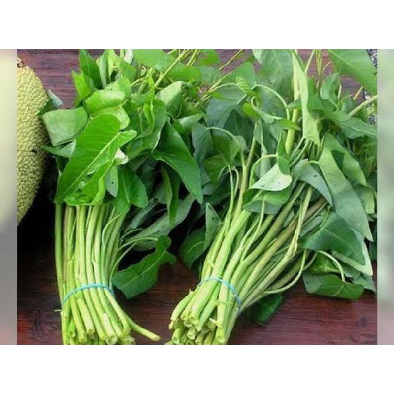 

Sayur Kangkung Segar perikat