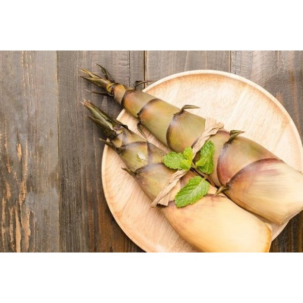 

Rebung Bambu - 500 Gr