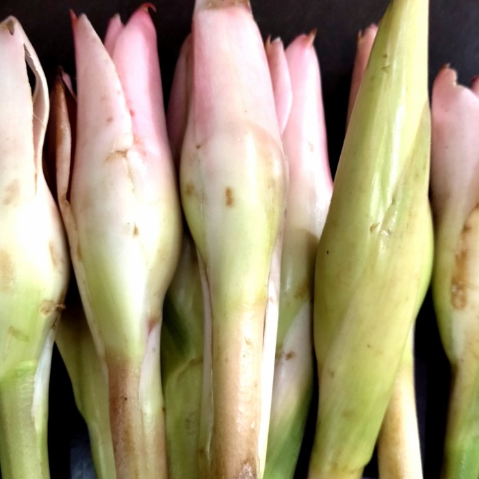 

bunga rias 5kg.cocok buat jual lagi.