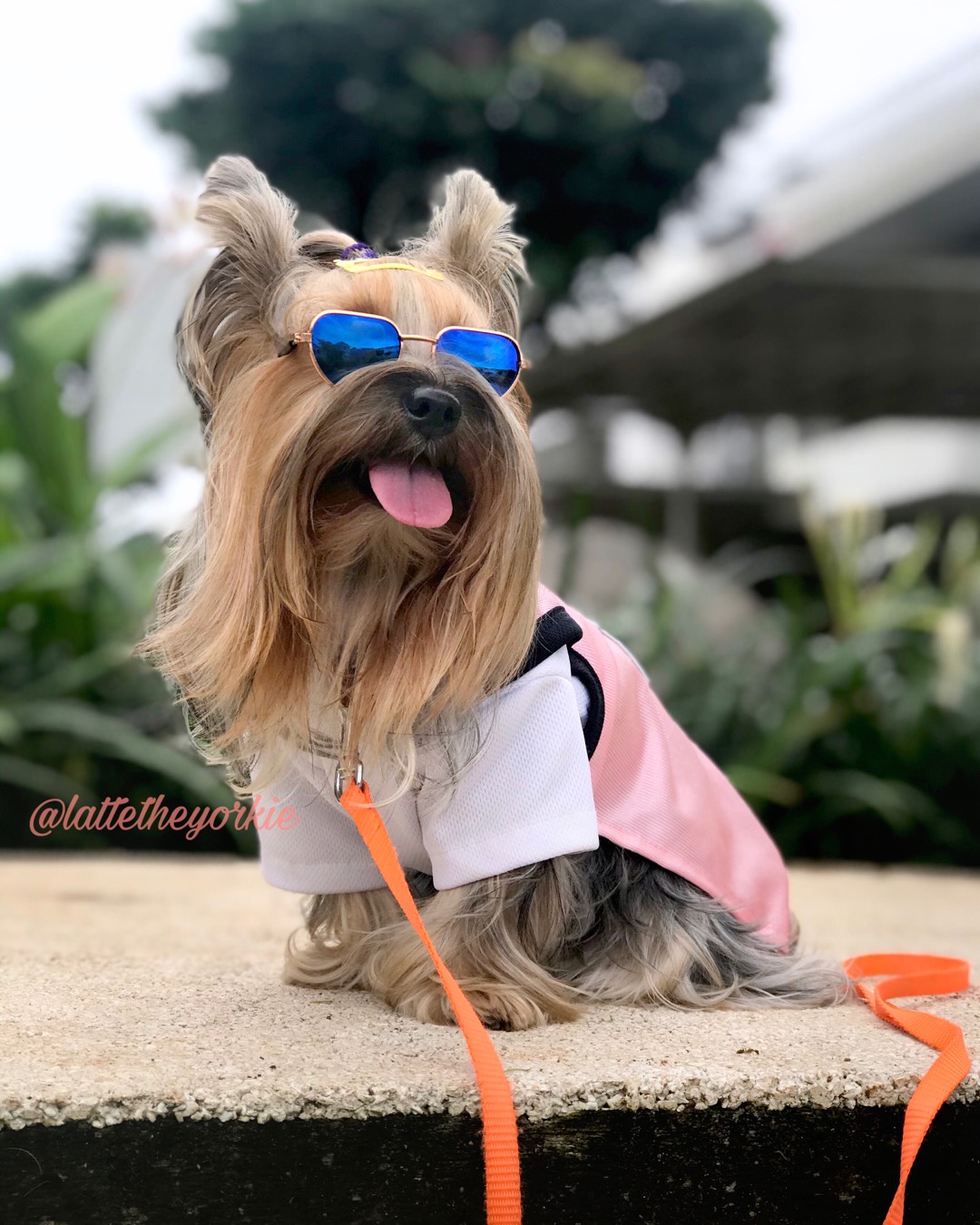 Handuk Tangan Sorex Ht 422