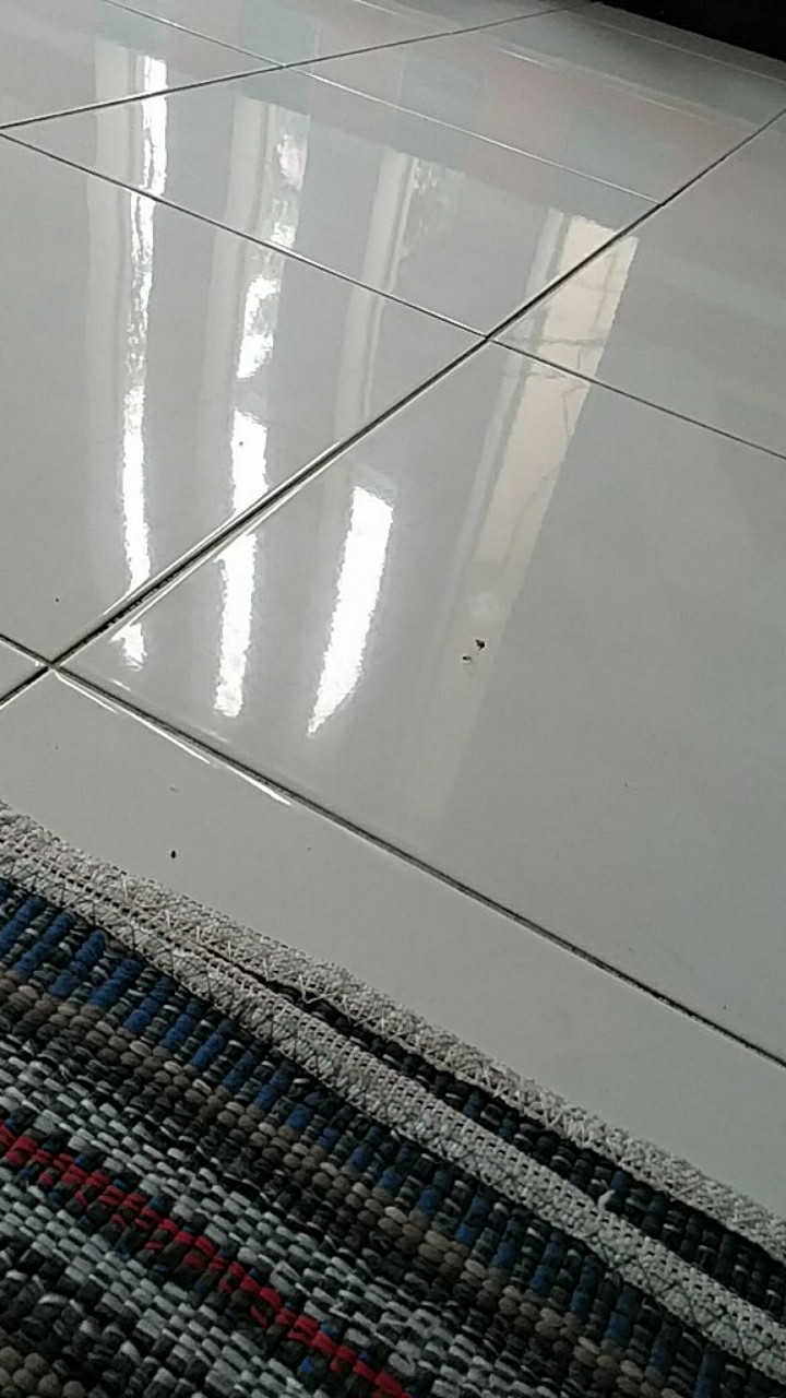 Selang Air Bening  5/16 Selang Waterpass