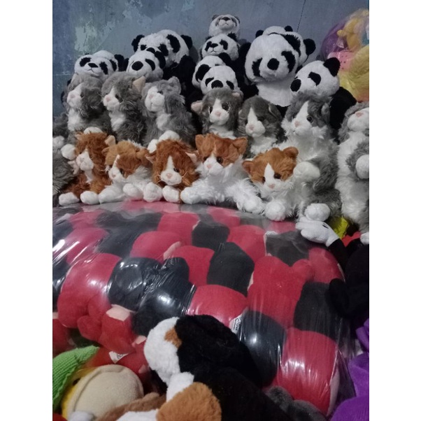 boneka.KUCING.ANGGORA