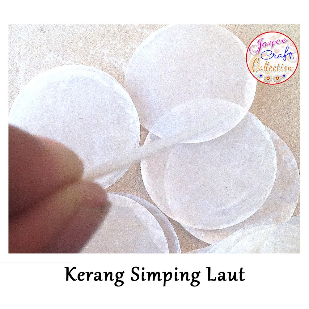 Kulit Kerang Simping Untuk Craft, Kerajinan Tangan & Hobby