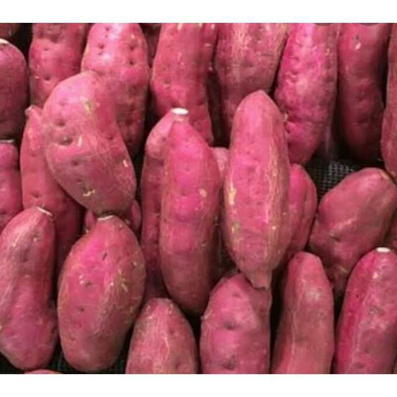 

umbi jalar segar /kg