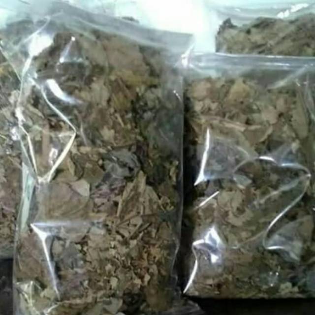 

Teh jati cina