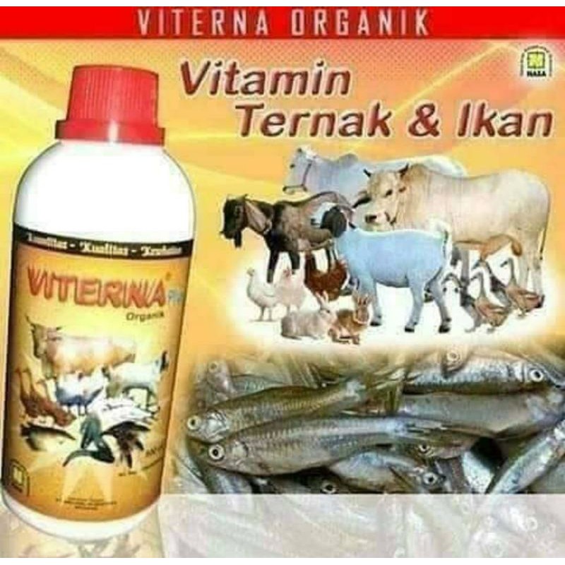 VITERNA-NASA(VitaminTernak)