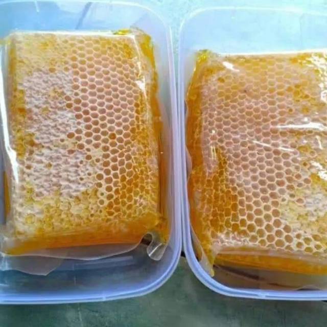

Sarang madu - Madu sarang original 100%