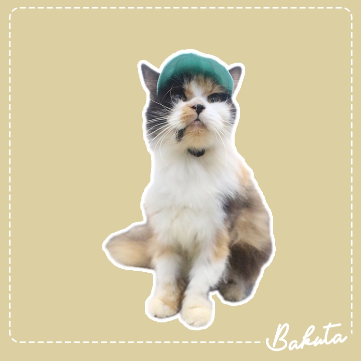 Topi Kucing dan Anjing Lucu motif Pastel Hat adult dan kitten Ada Lobang Telinga - Baju Kucing Tangerang