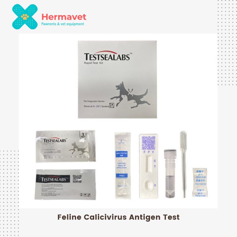 Alat Test Antigen Feline Calici Virus FCV Kucing TESTSEALABS
