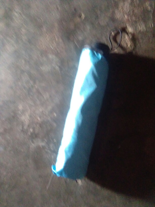 Shenarserbaunik Payung Magic 3d / Payung Bermotif Saat Hujan