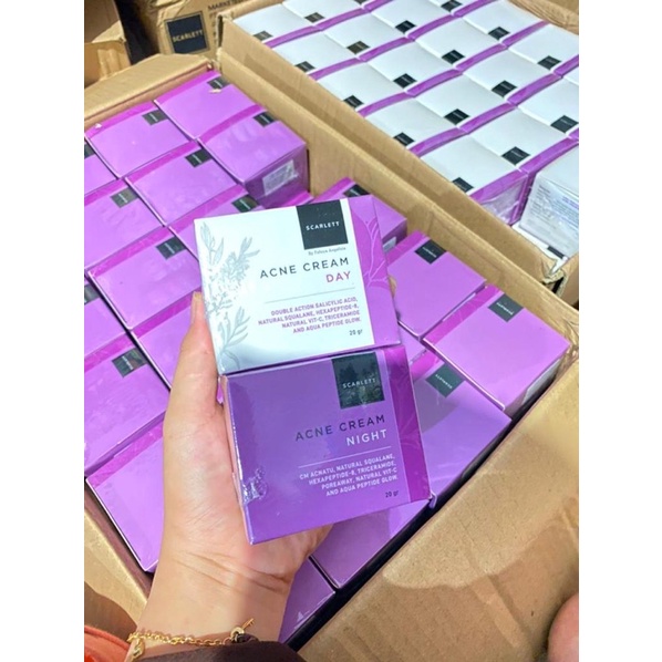 Cream Malam/Siang Acne Scarlet