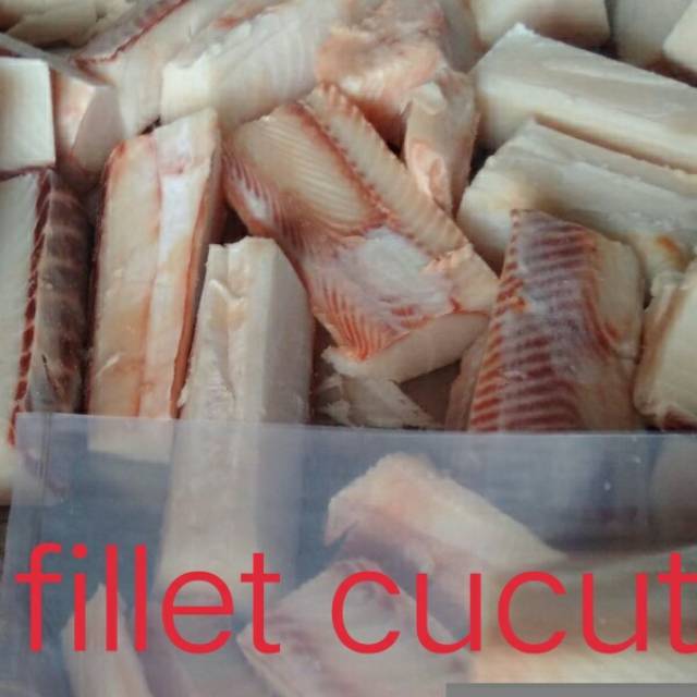 

Fillet cucut segar 1 kg