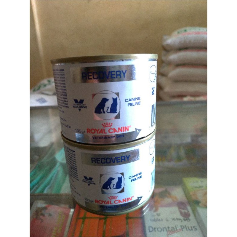 Royal canin recovery 195gr makanan khusus anjing dan kucing yang sakit / tahap penyembuhan