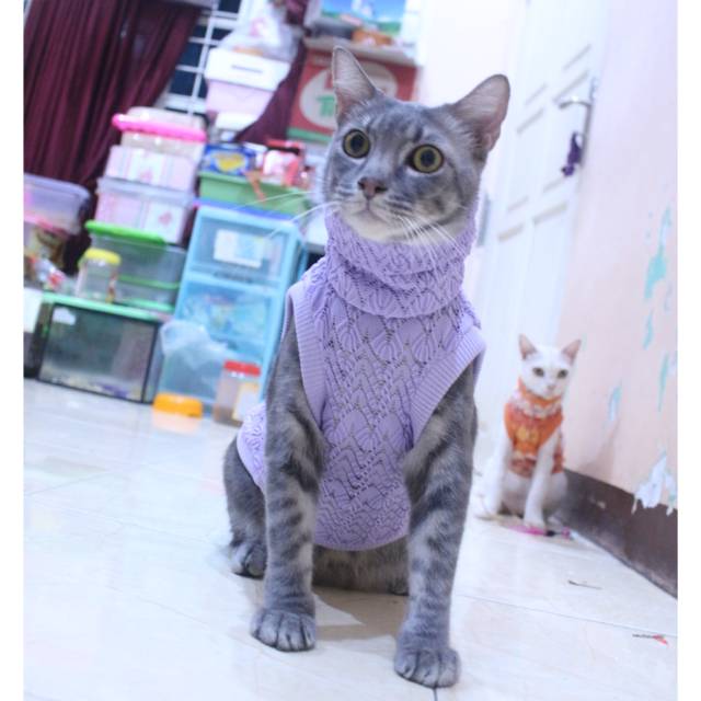 Baju rajut ala korea warna ungu untuk kucing dan anjing / baju kucing murah size S M L XL