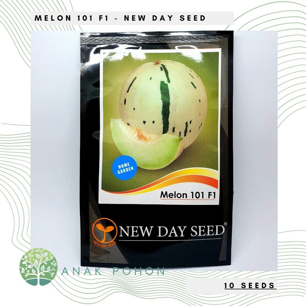 ( 1 PACK ) Benih Melon 101 F1 - NEW DAY SEED