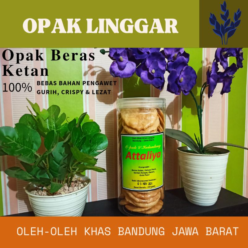 

Opak Ketan Gurih Oleh-oleh Khas Bandung Jawa Barat