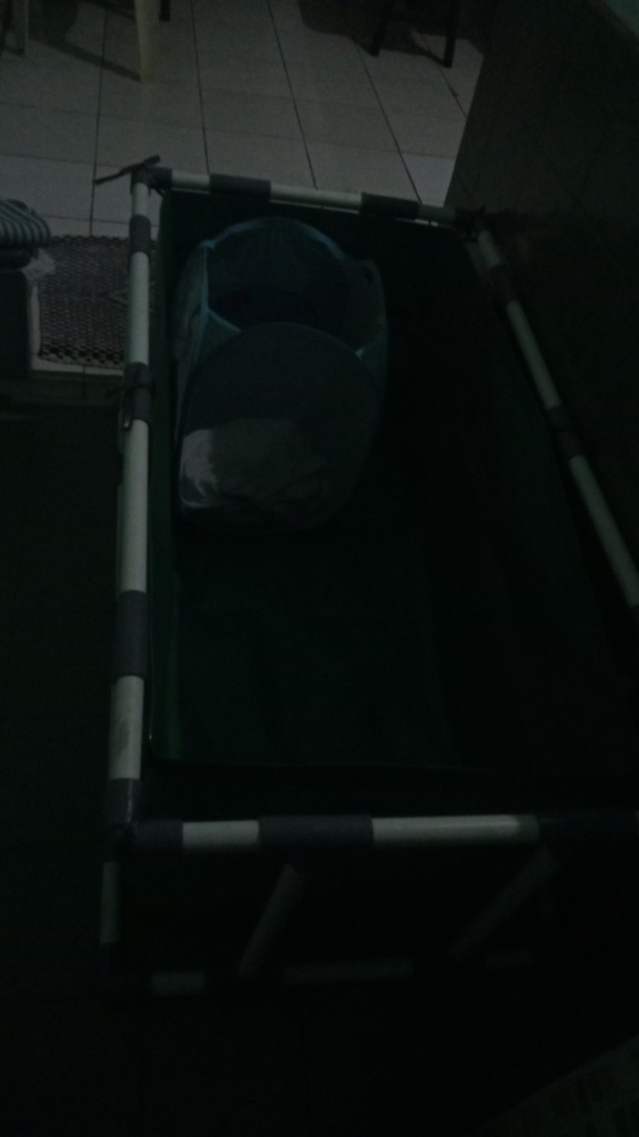 Kolam Terpal Ikan + Rangka [ Satu Set ] Model Slot Paralon Ukuran 100x100x50cm Original A15 Korea