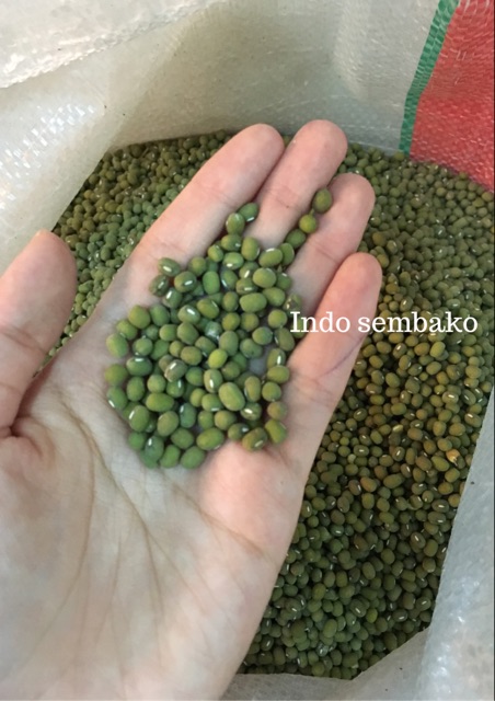 Kacang Hijau 500gram ( Organic Mung Beans )