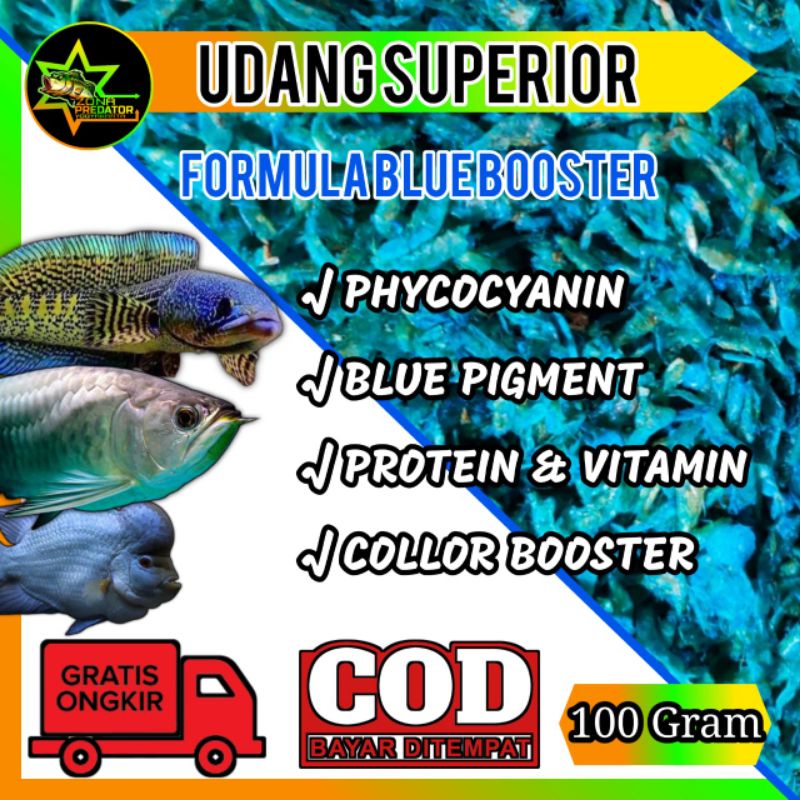 Udang Superior Pakan pulchra Blue 100 gram