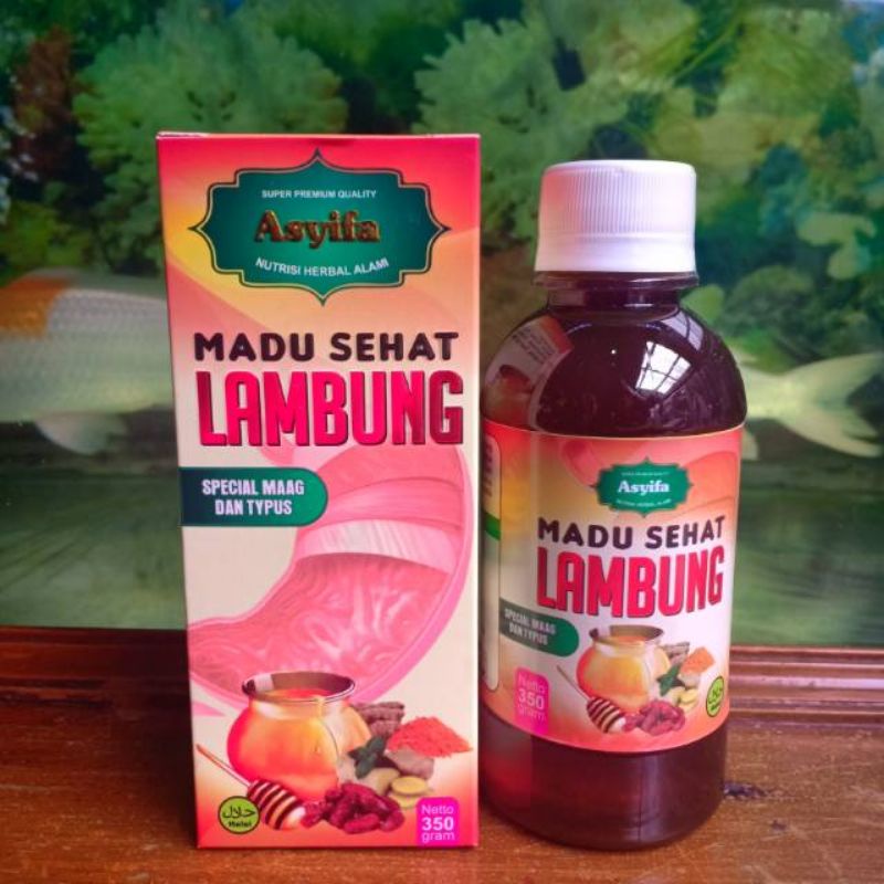 

Madu Sehat Lambung Asyifa