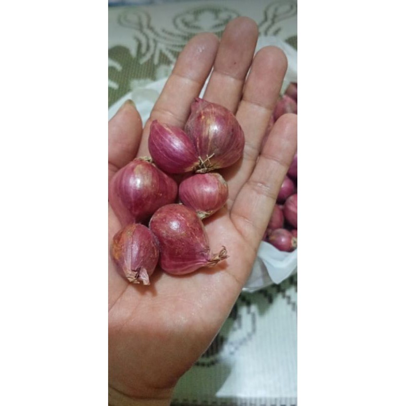 

bawang merah Jawa 2 kg