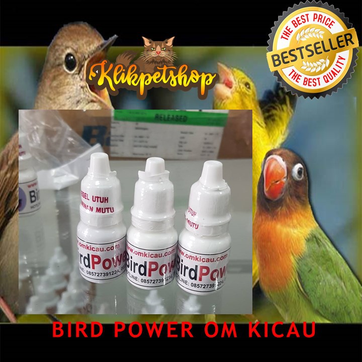 bird power om kicau premium gacor