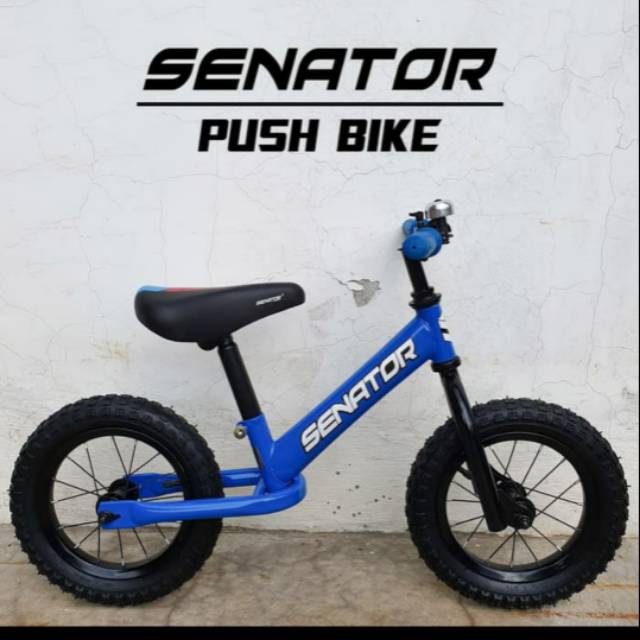 Push Bike senator