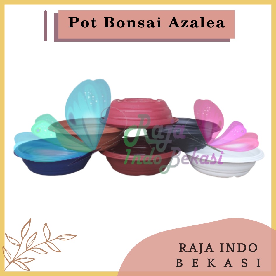 Pot Bonsai Azalea 25 Cm Putih Hitam Biru Merah Bata Pot Bonsai Tawon Ceper Plastik Utk Bonsai Kelapa