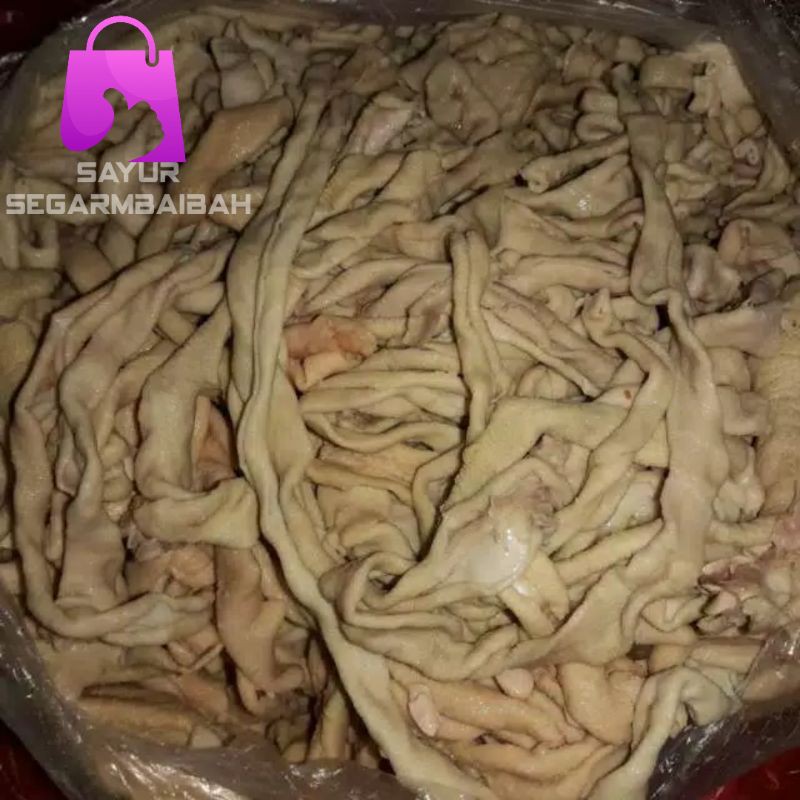 

usus ayam segar/sayursegar