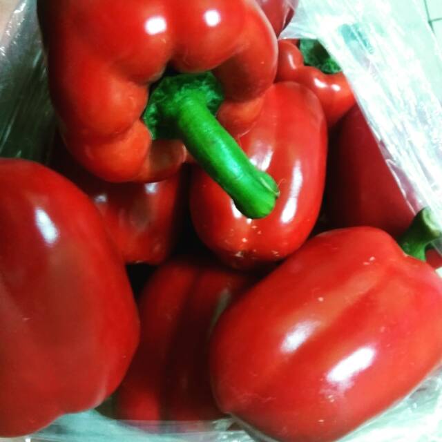 

Paprika merah
